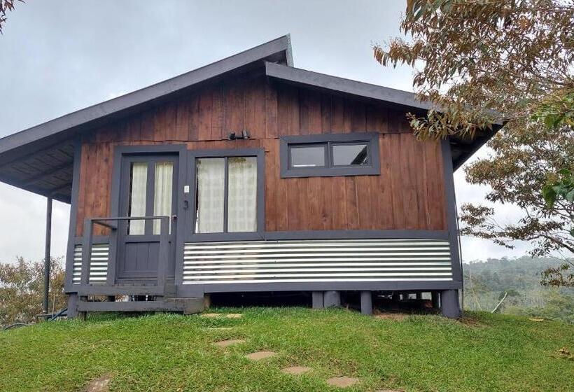 اتاق استاندارد با چشمانداز کوهستان, The Lodge At Reventazon River Mountain Ranch