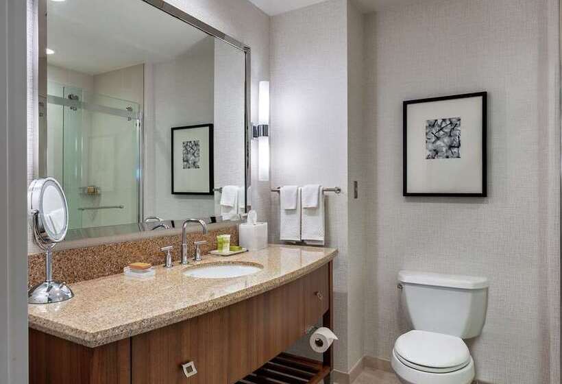 Стандартный Номер Кровать Кинг, Hilton Garden Inn Zhuhai Hengqin Sumlodol Park