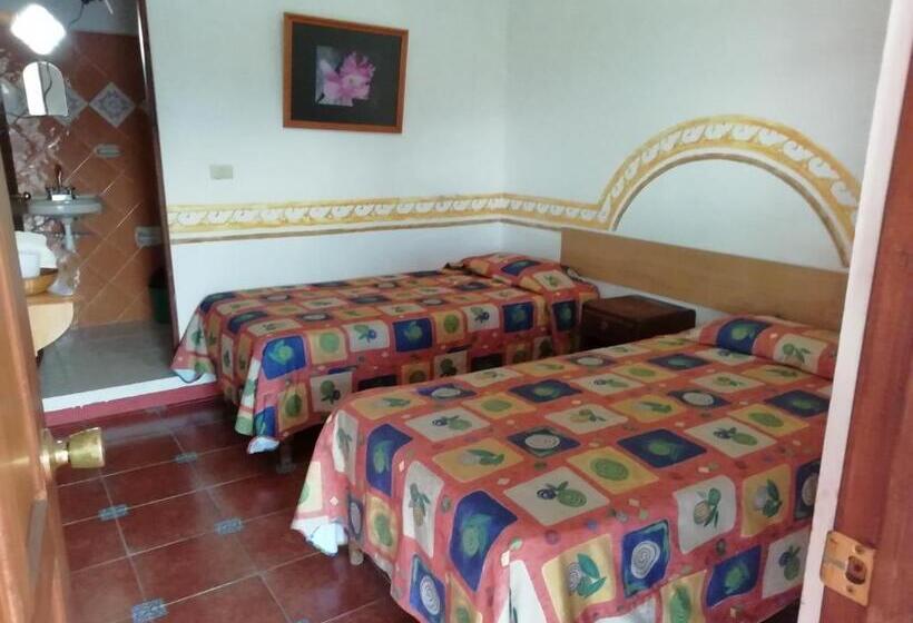 غرفة قياسية, Posada Los Naranjos