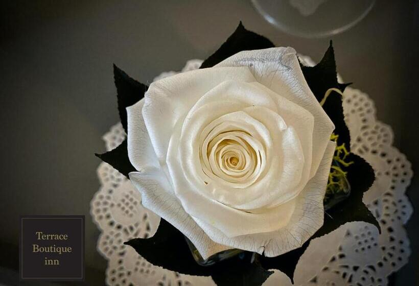 اتاق لوکس سه تخته, Terrace Boutique Inn