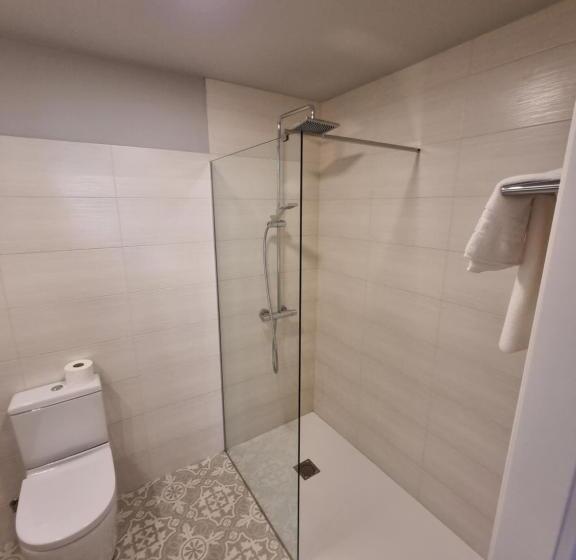 싱글 디럭스 룸, Hostal La Rúa