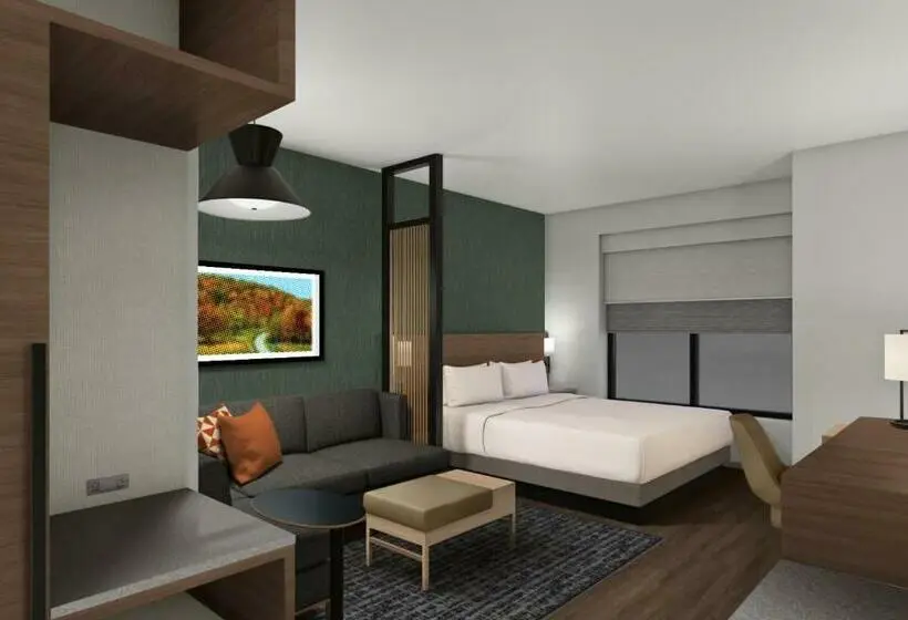 キングサイズベッドのスタンダードルーム, Hyatt Place Harrisonburg