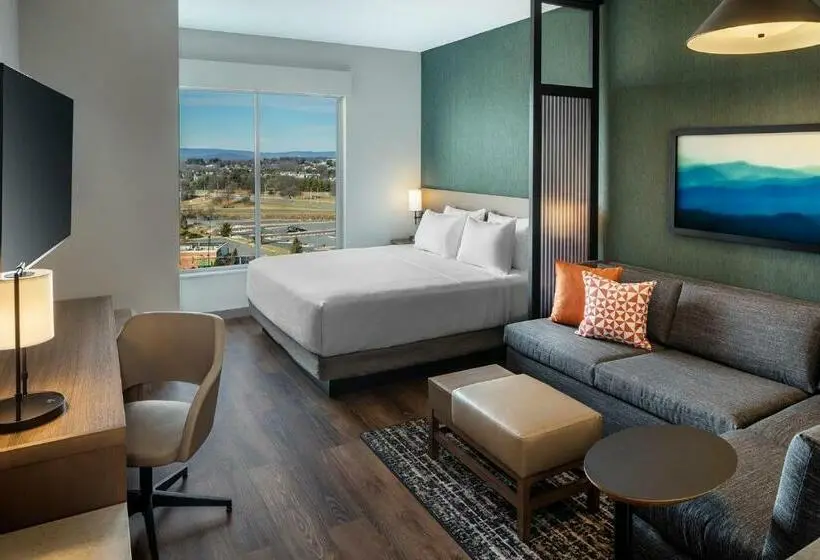 身障者適用スイートルーム, Hyatt Place Harrisonburg