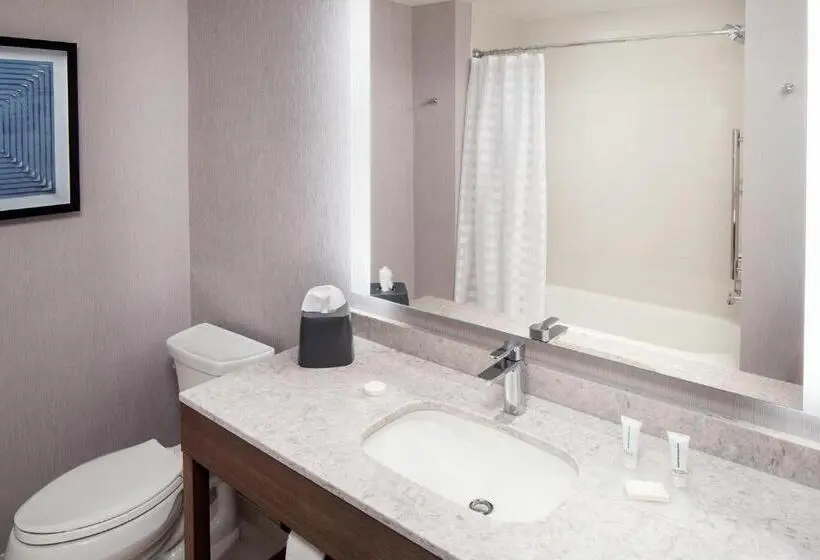 キングサイズベッドのスタンダードルーム, Hyatt Place Harrisonburg