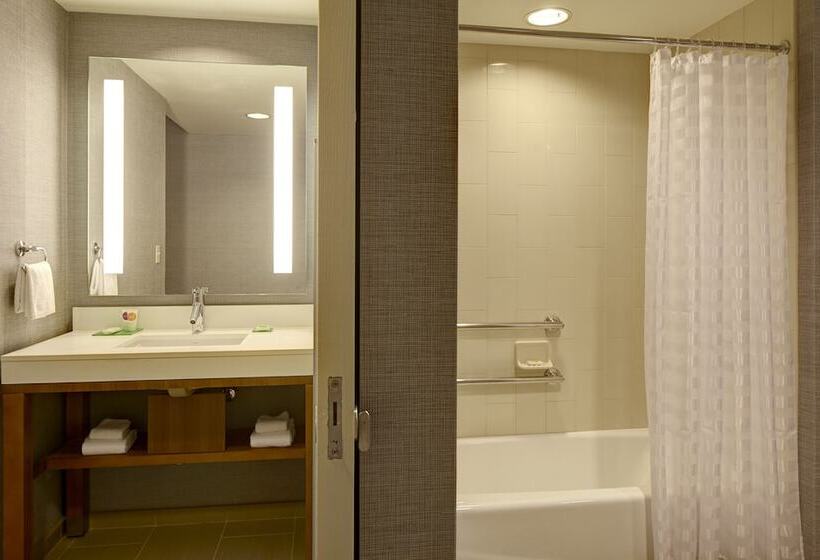 Люкс Адаптированный для Инвалидов, Hyatt Place Harrisonburg
