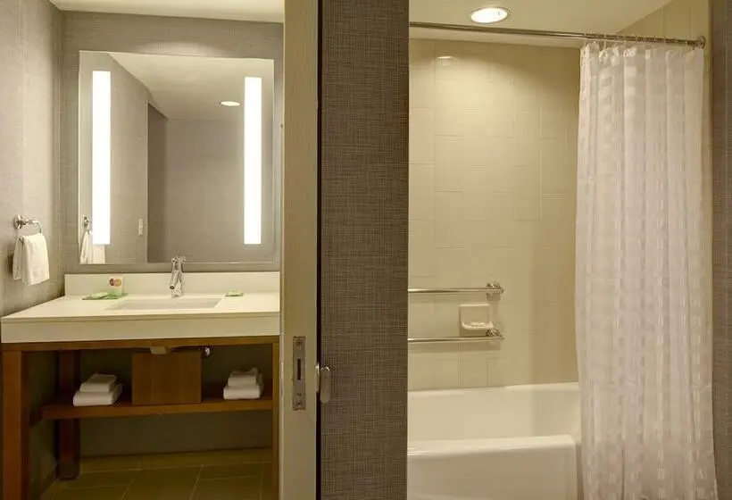 身障者適用スイートルーム, Hyatt Place Harrisonburg