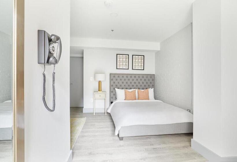 标准工作室, Sonder The Grace