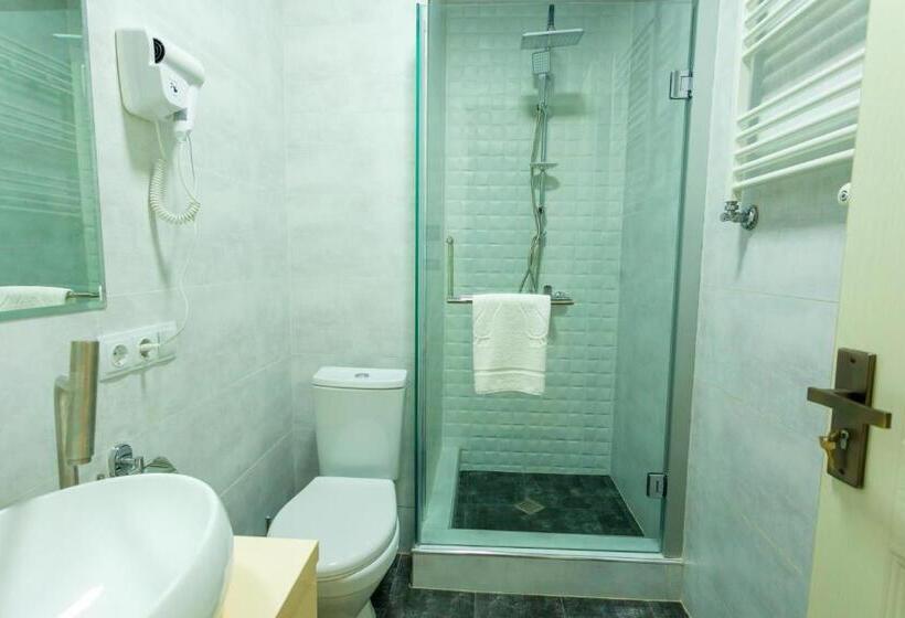 اتاق لوکس سه تخته, Rustaveli