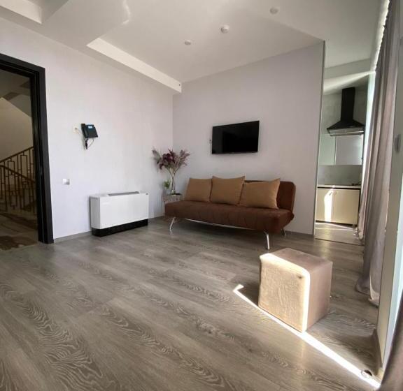 آپارتمان 1 خوابه با بالکن, Rustaveli