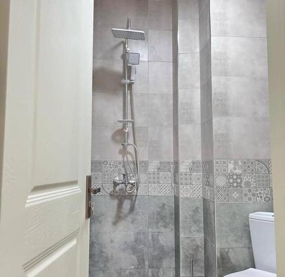 آپارتمان 1 خوابه با بالکن, Rustaveli