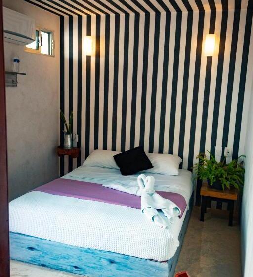 스탠다드 룸, Seyba Bakalar