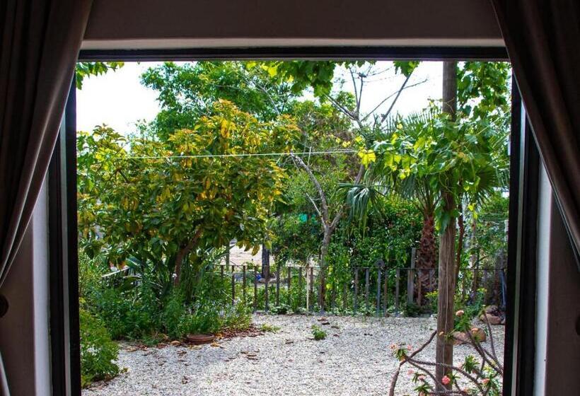 غرفة سوبيريور سرير كينج, Ebonymoon Guest House