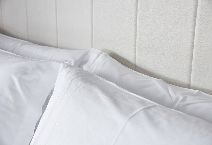 غرفة قياسية, Arrizul Beach