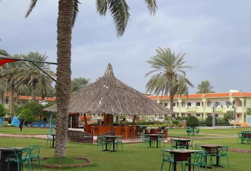 Sviitti Allasnäkymä, Flamingo Beach