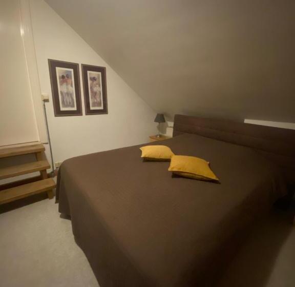 اتاق استاندارد با تخت بزرگ, Gowell Kuur  En Wellness Yolande Buekers