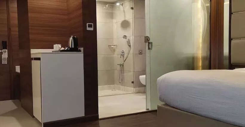 デラックスルーム, Hindusthan International, Bhubaneswar