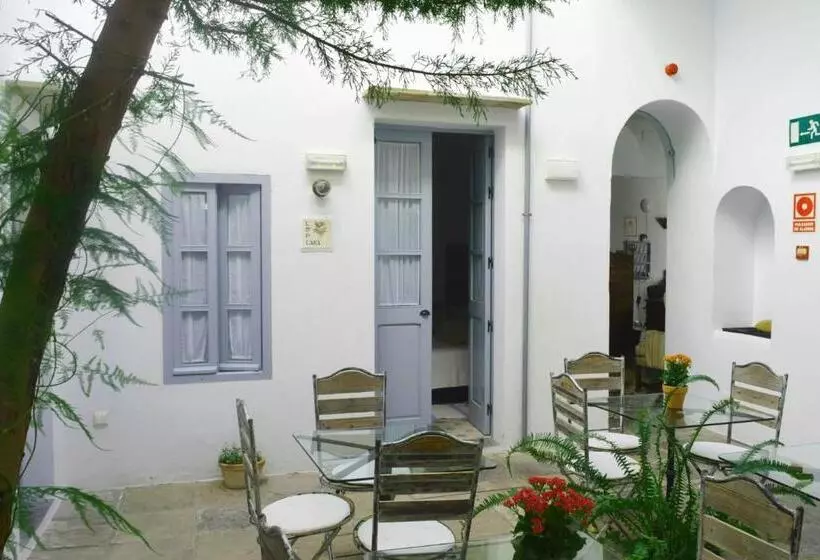 اتاق اکونومی, La Botica De Vejer