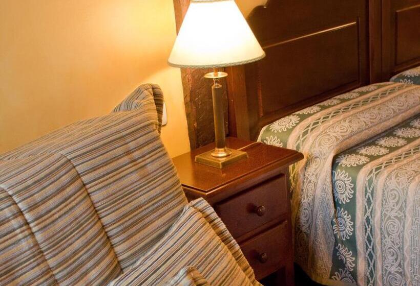 スタンダードルーム, La Casa Del Organista