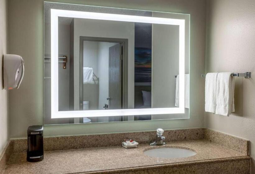 Люкс Deluxe Кровать Кинг, Days Inn By Wyndham Pleasant Prairie Kenosha