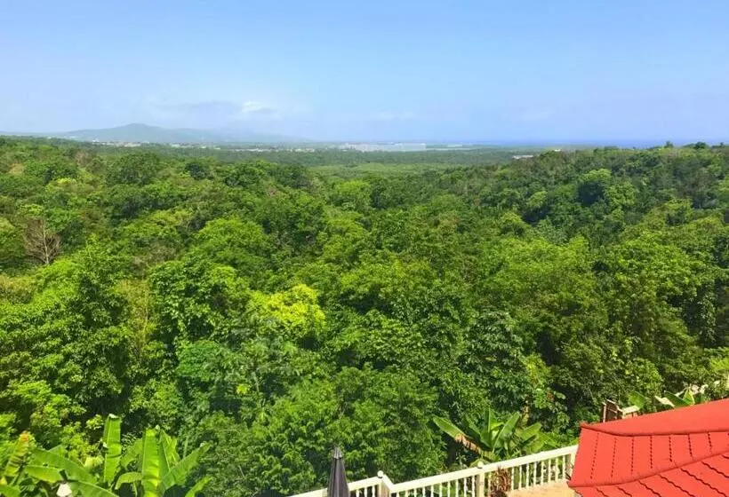 اتاق استاندارد با تخت بزرگ, Retreat Guest House