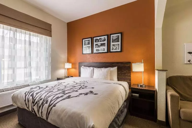 キングサイズベッドのスイートルーム, Sleep Inn & Suites Stafford  Sugarland