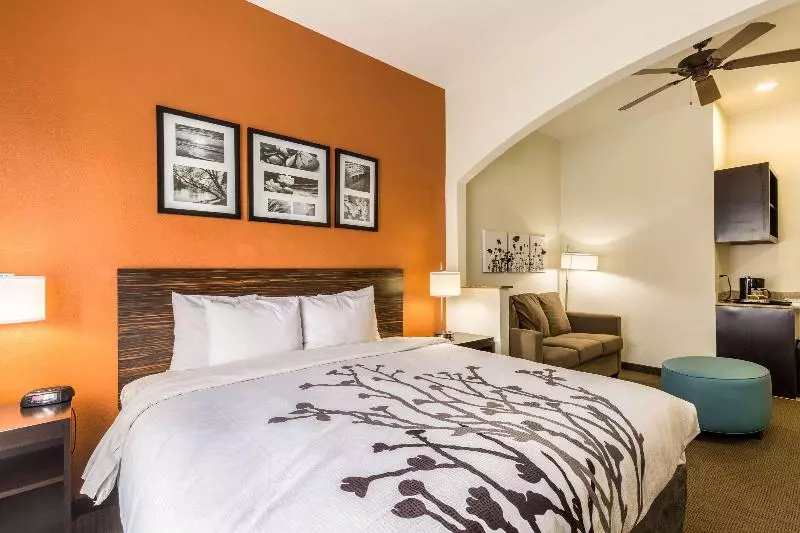 キングサイズベッドのスイートルーム, Sleep Inn & Suites Stafford  Sugarland