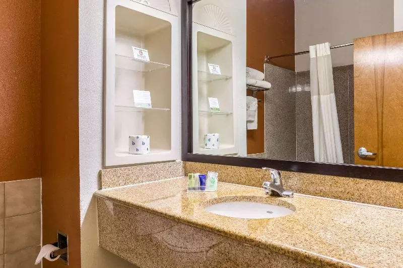 キングサイズベッドのスイートルーム, Sleep Inn & Suites Stafford  Sugarland