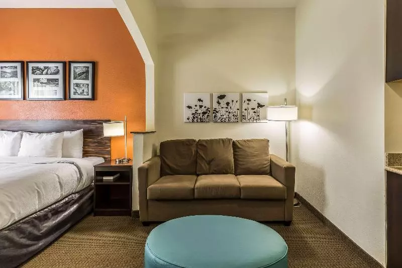 キングサイズベッドのスイートルーム, Sleep Inn & Suites Stafford  Sugarland