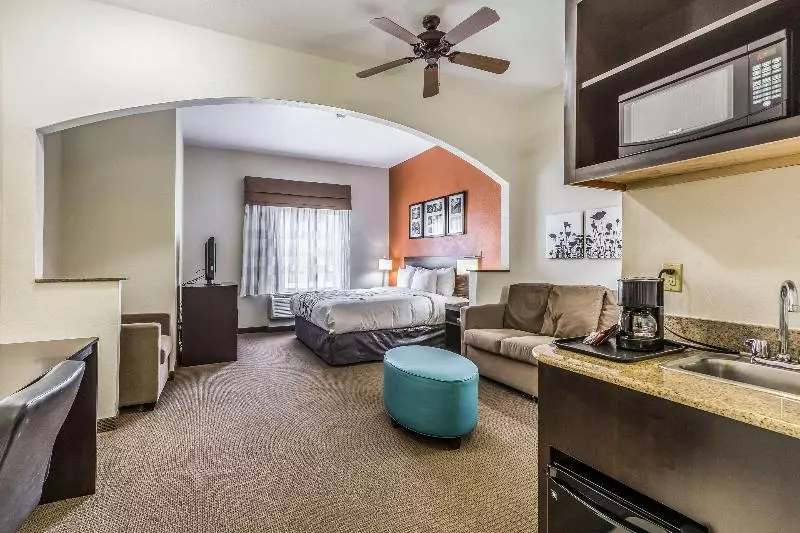 キングサイズベッドのスイートルーム, Sleep Inn & Suites Stafford  Sugarland