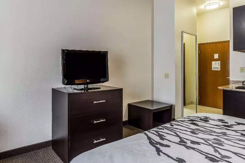 キングサイズベッドのスタンダードルーム, Sleep Inn & Suites Stafford  Sugarland