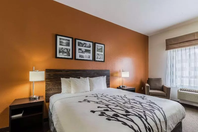 キングサイズベッドのスタンダードルーム, Sleep Inn & Suites Stafford  Sugarland