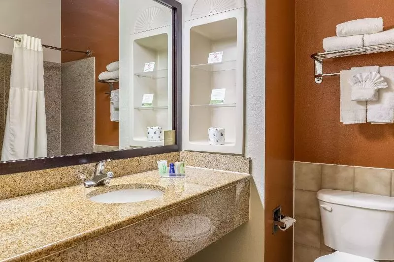 キングサイズベッドのスタンダードルーム, Sleep Inn & Suites Stafford  Sugarland