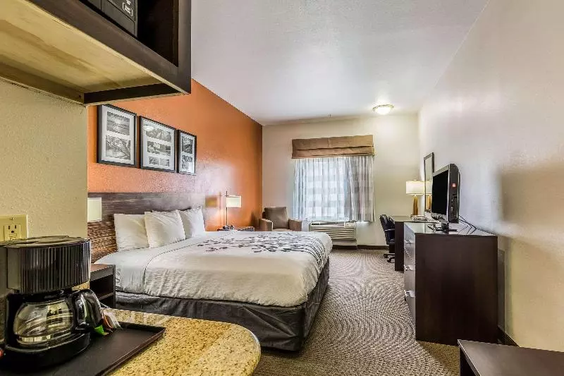 キングサイズベッドのスタンダードルーム, Sleep Inn & Suites Stafford  Sugarland
