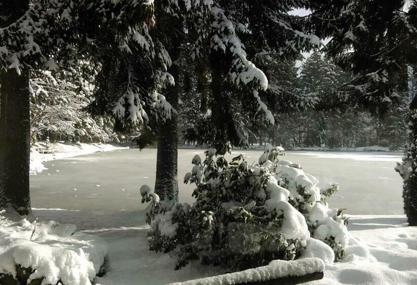 스탠다드 룸, Steineweiher