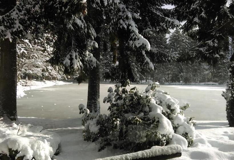 4인용 스탠다드 룸, Steineweiher