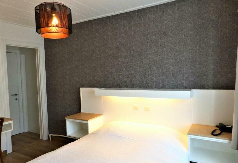 חדר סטנדרט, Logis Hotel Du Midi