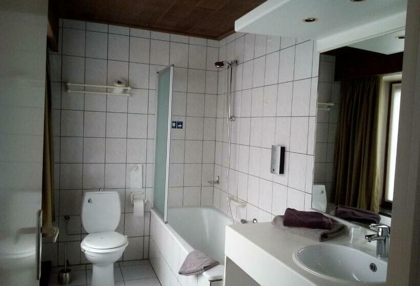 חדר סטנדרט, Logis Hotel Du Midi