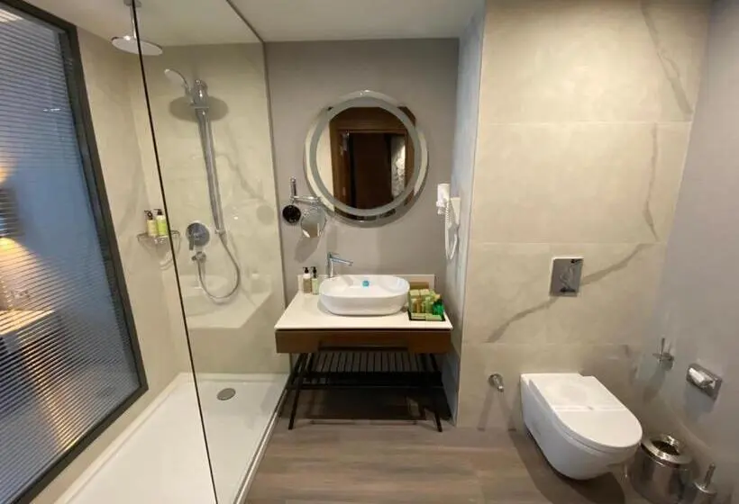 デラックスルーム, Limak Skopje Luxury