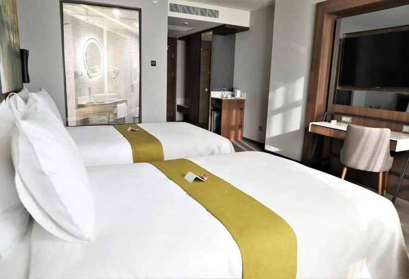 シングルデラックスルーム, Limak Skopje Luxury