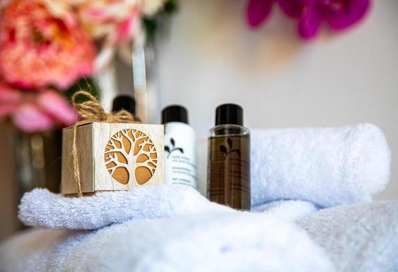 高级大房间, Le Mas Des Roches Proche Puy Du Fou