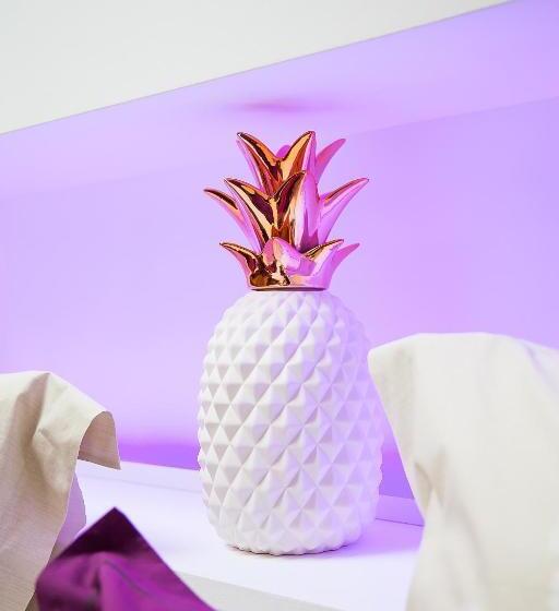 高级大房间, Le Mas Des Roches Proche Puy Du Fou