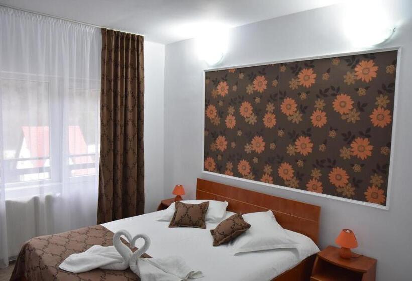 バルコニー付きスタンダードルーム, Pensiunea Steluta