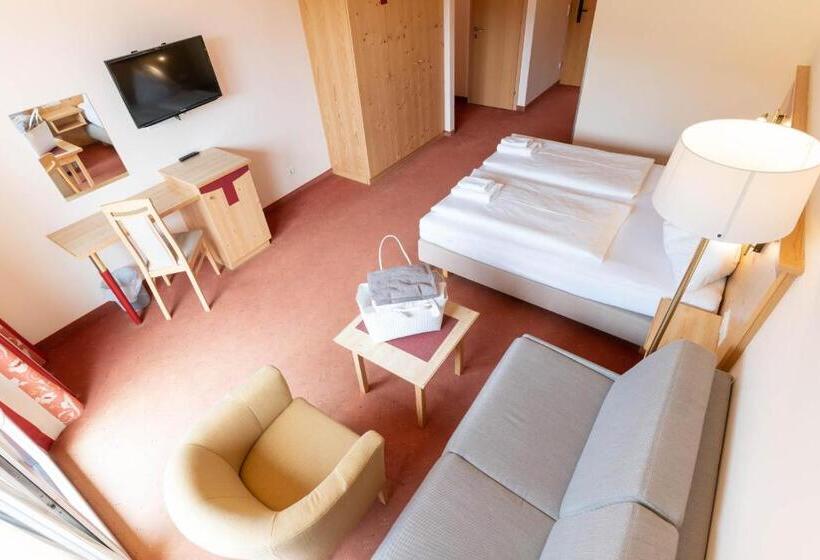 استودیو استاندارد با بالکن, Apart & Suiten Hotel Weiden