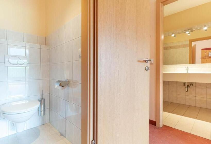 استودیو استاندارد با بالکن, Apart & Suiten Hotel Weiden