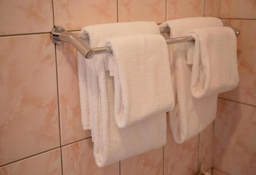 اتاق استاندارد یک نفره, Dinaburg Spa