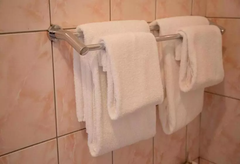 اتاق استاندارد یک نفره, Dinaburg Spa