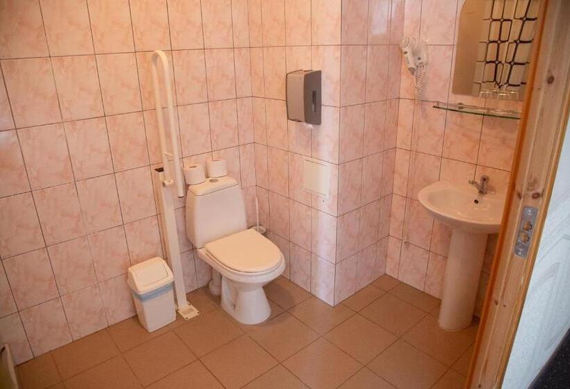 اتاق استاندارد یک نفره, Dinaburg Spa