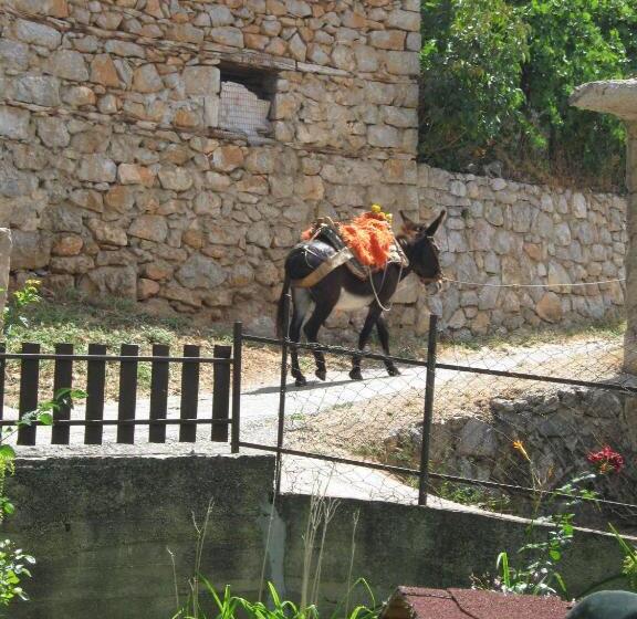 اتاق خانوادگی, Risto's Guest House
