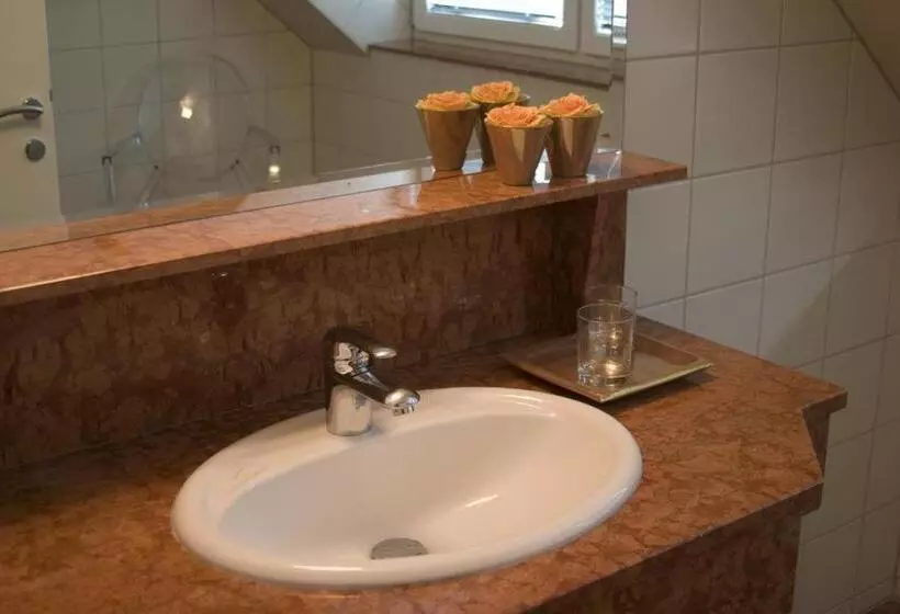 Habitación Estàndard Individual, Csejtei