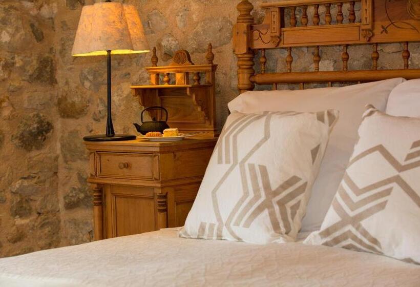 スタンダードルーム, Monnaber Vell